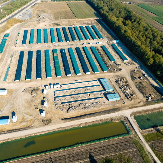 Свинокомплекс компании РБПИ Групп, п. Ермаково